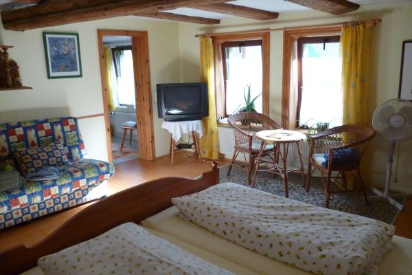 Hotel Schiff Gasthof -Businesszimmer- (Winterhausen)